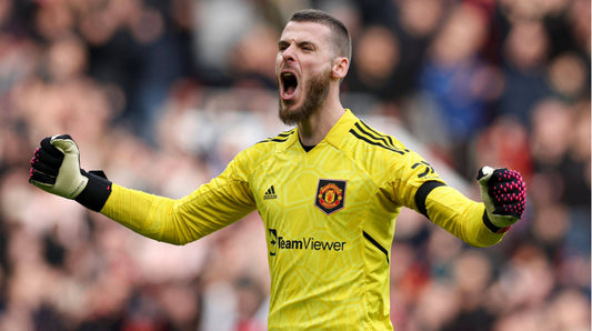 SERIE A| David de Gea reprend du service!