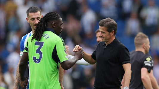 PREMIER LEAGUE| BRIGHTON ALBION ET FULHAM REPARTENT DOS À DOS!