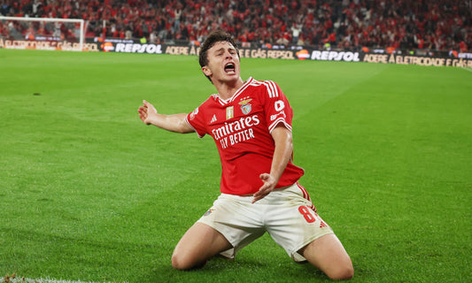 JOAO NEVES, CE QU'IL PEUT APPORTER