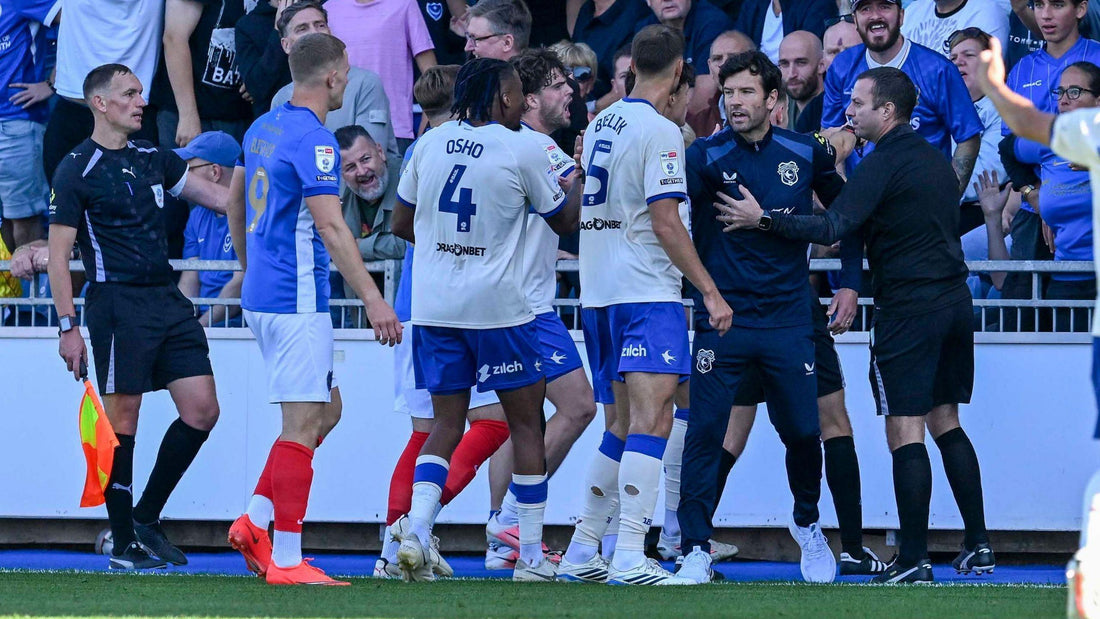 Image crédit Rex Feature Cardiff defender Krystian Bielik was involved in an altercation with a Portsmouth fan before players became involved
