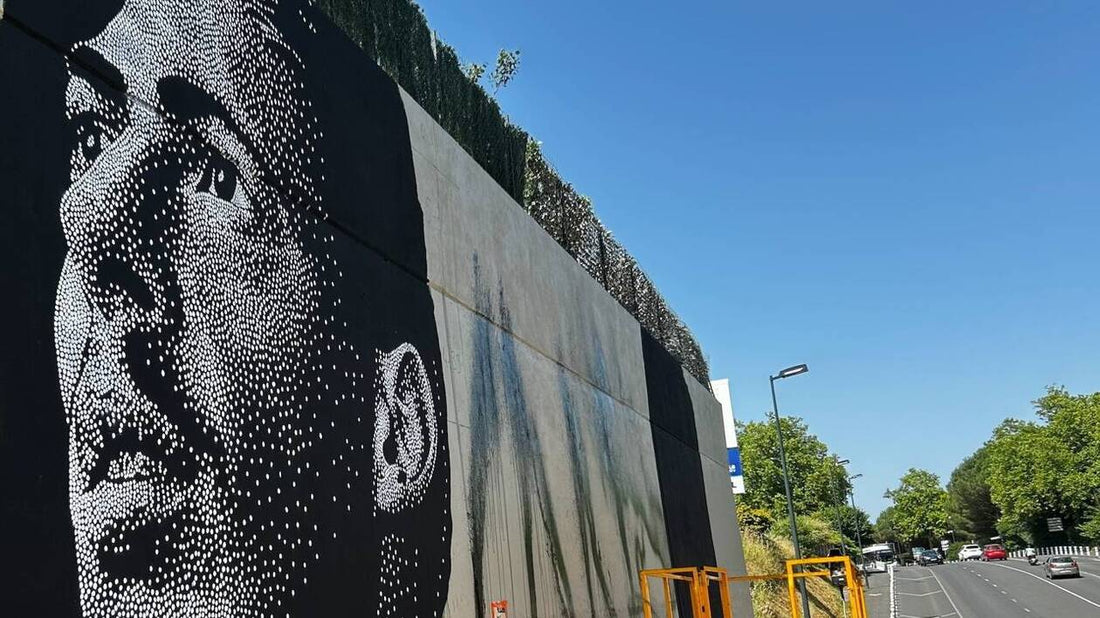 Fresque murale de Emiliano Sala 