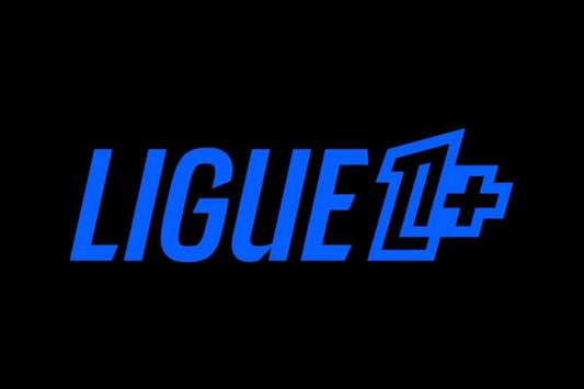 BEIN ET CANAL SOUPÇONNÉ DE VOULOIR COULER LIGUE 1+