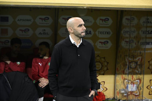 Walid Regragui sur le banc lors de la CAN en tant que coach 