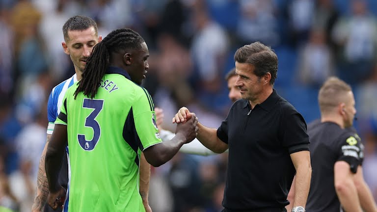 PREMIER LEAGUE| BRIGHTON ALBION ET FULHAM REPARTENT DOS À DOS!