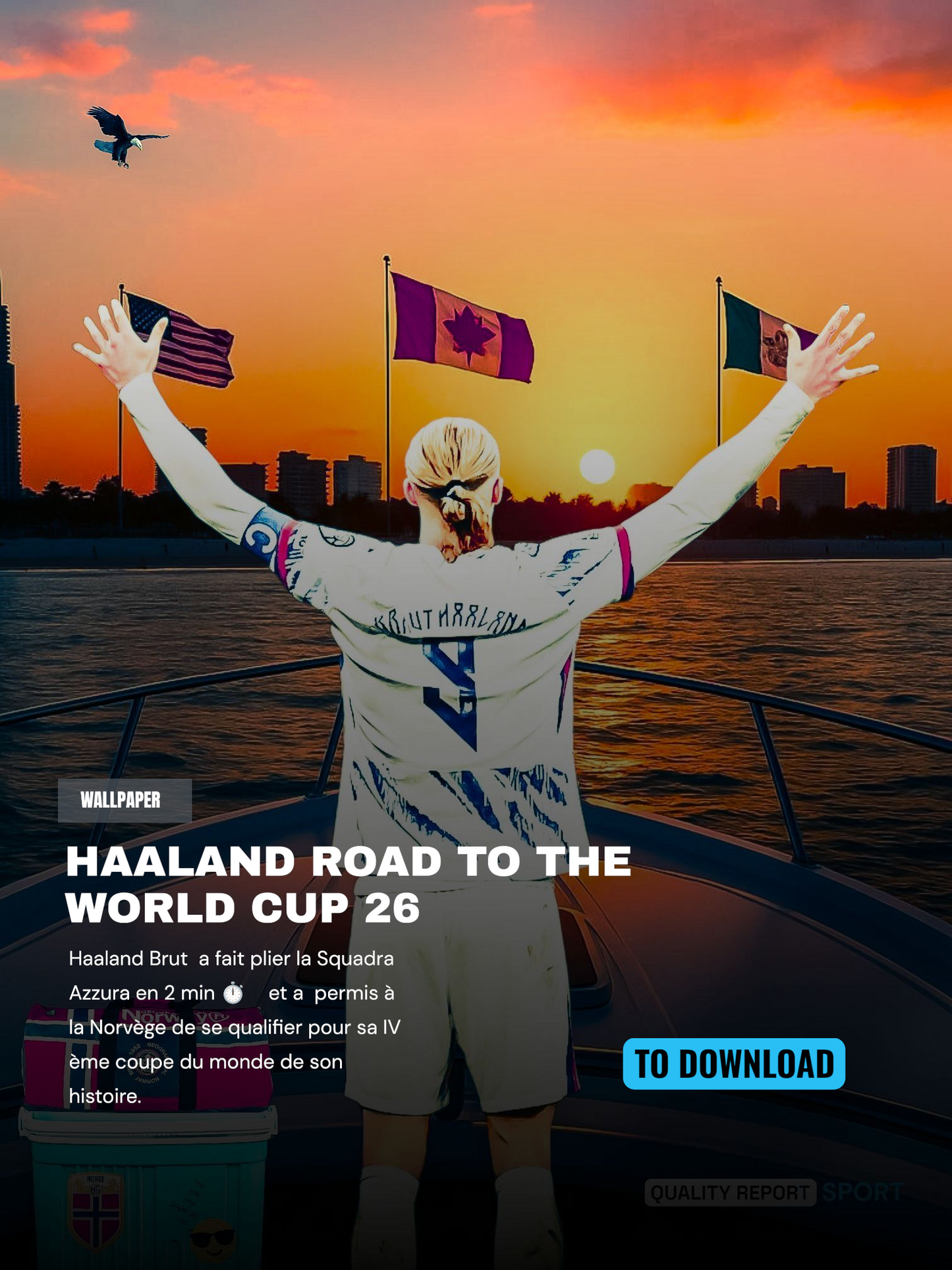 HAALAND ROAD TO THE WORLD CUP