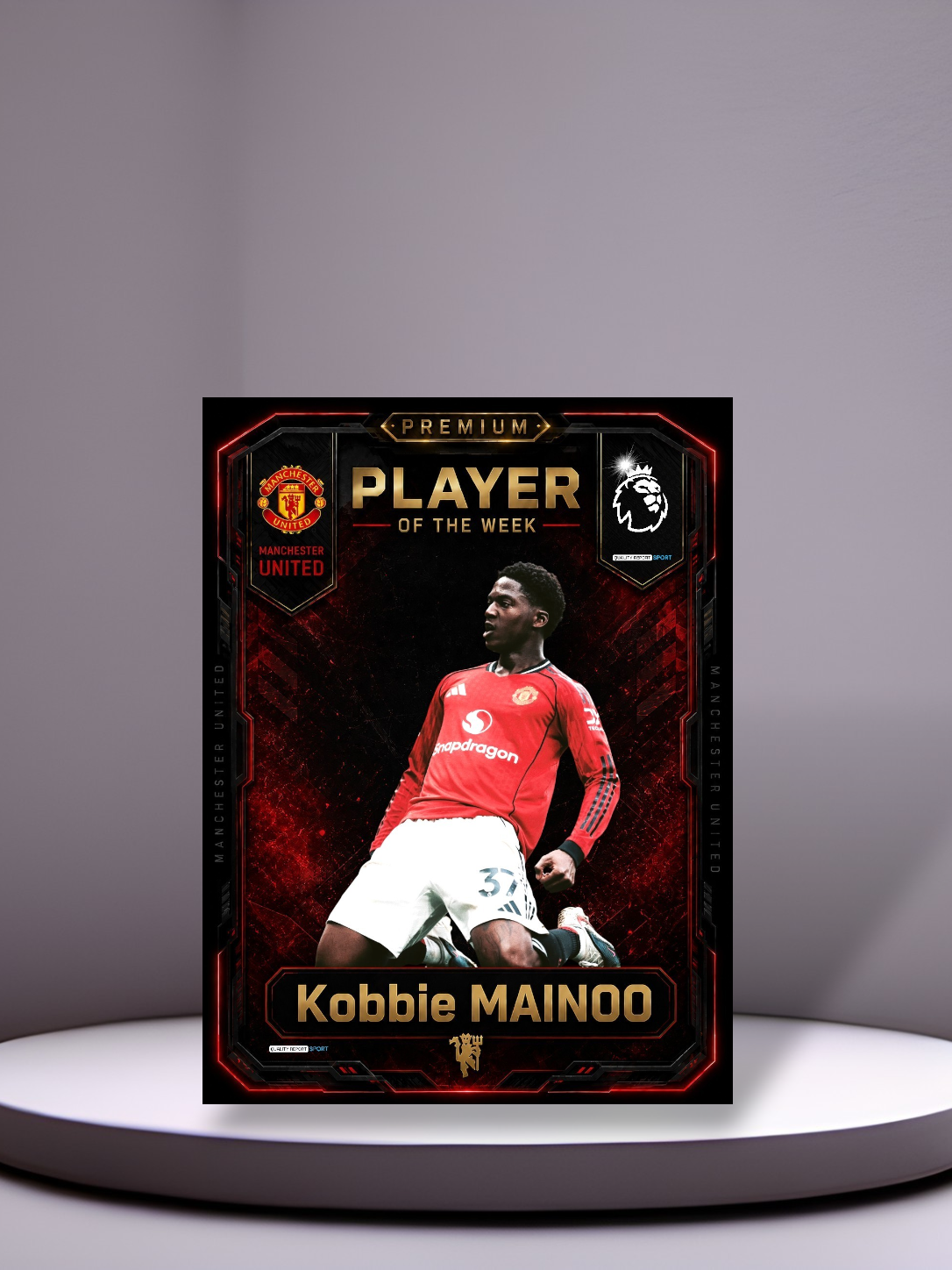PRO PLAYER PACK